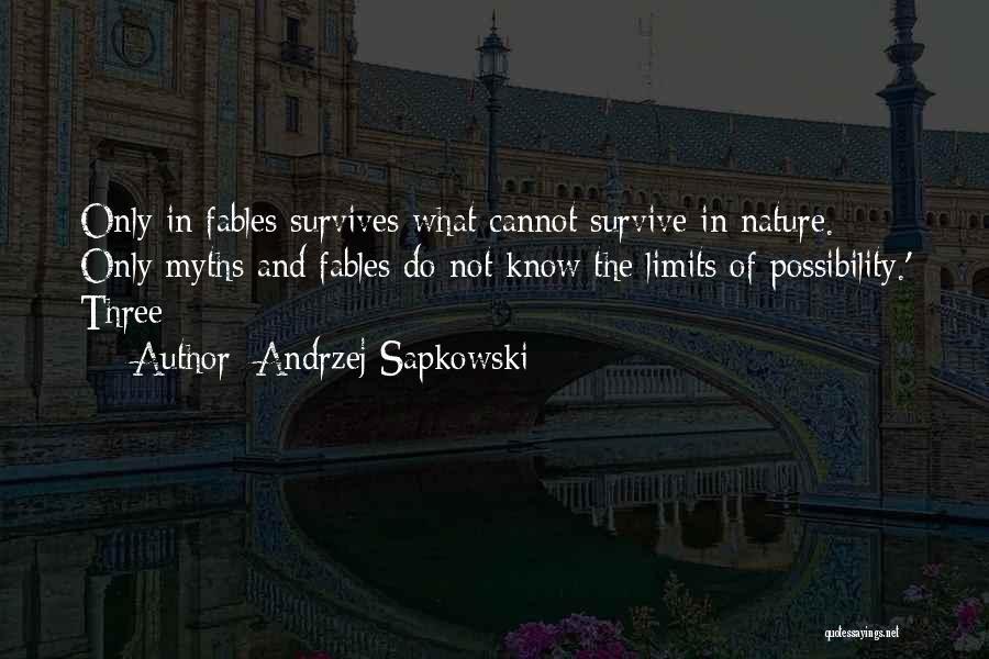 Andrzej Sapkowski Quotes 2150157