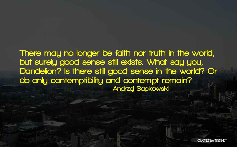 Andrzej Sapkowski Quotes 2195334