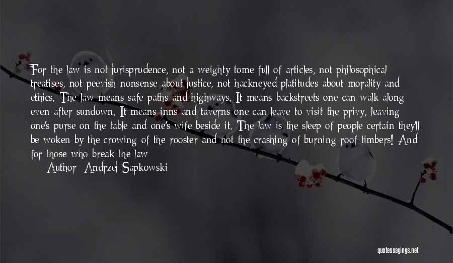 Andrzej Sapkowski Quotes 429963