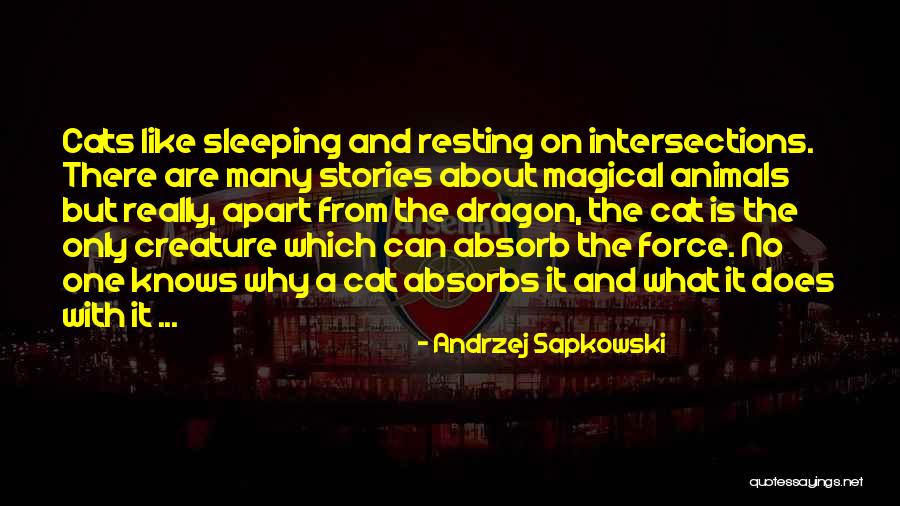 Andrzej Sapkowski Quotes 769830