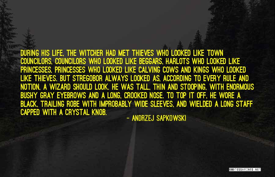Andrzej Sapkowski Quotes 827952 Andrzej Sapkowski Quotes 827952
