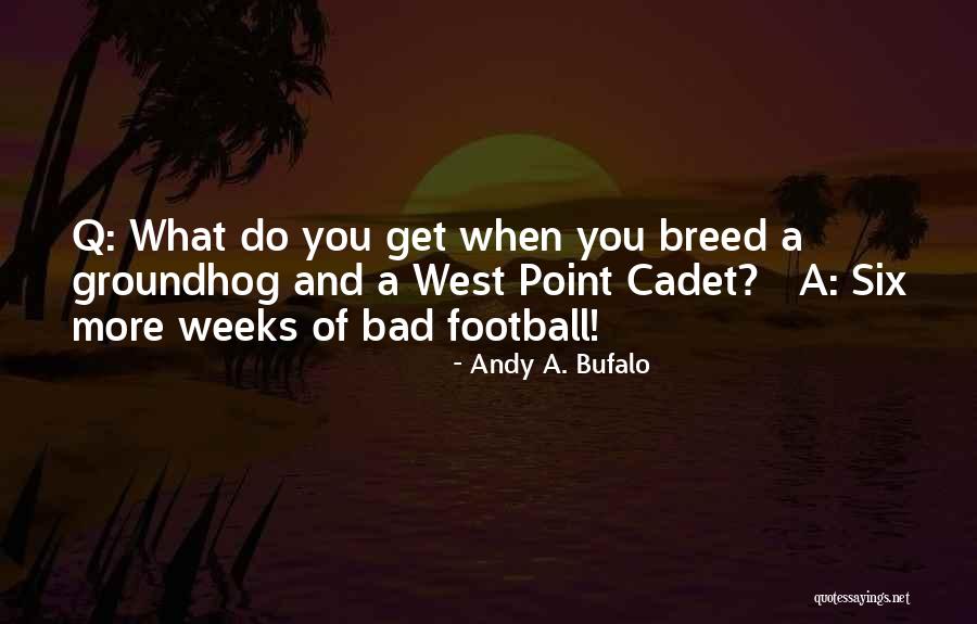 Andy A. Bufalo Quotes 1966992 Andy A. Bufalo Quotes 1966992