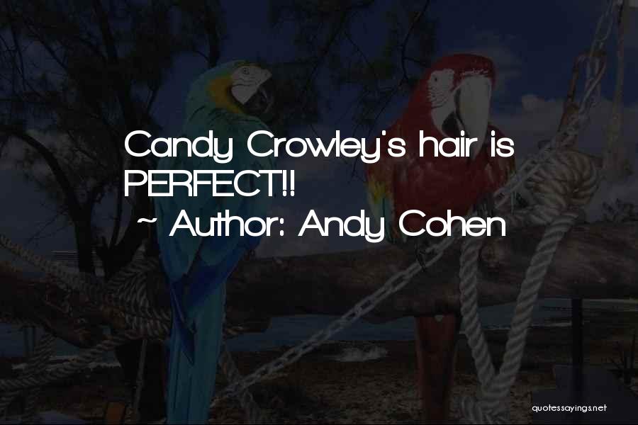 Andy Cohen Quotes 534163