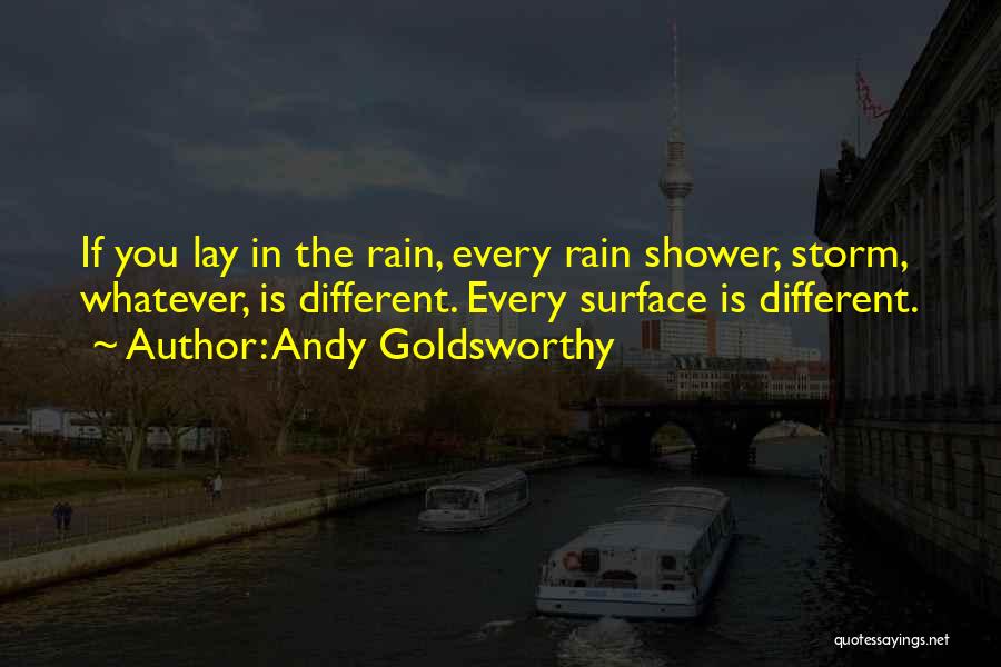 Andy Goldsworthy Quotes 1008178