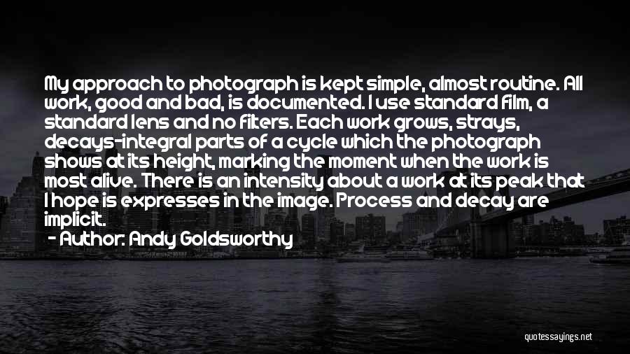 Andy Goldsworthy Quotes 1125613