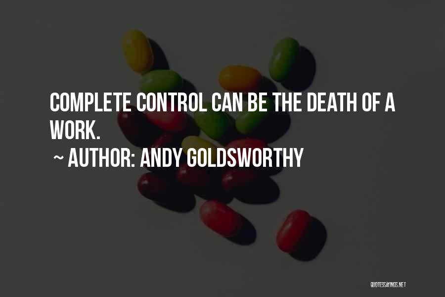 Andy Goldsworthy Quotes 1187311