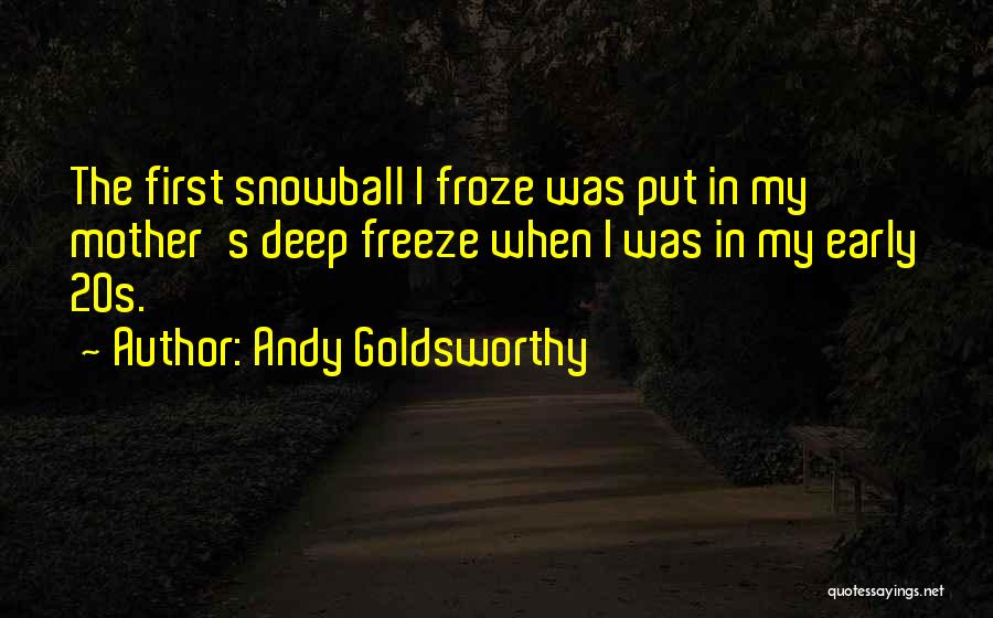 Andy Goldsworthy Quotes 1216056