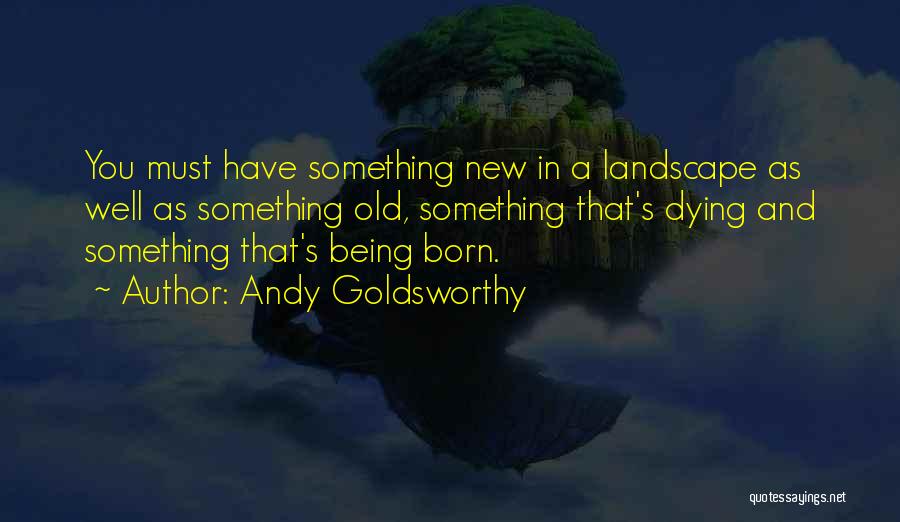 Andy Goldsworthy Quotes 1217950