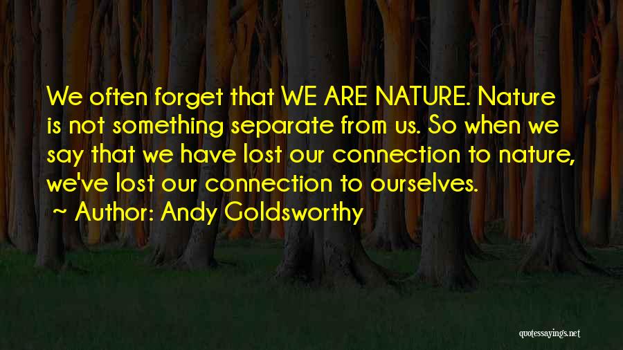 Andy Goldsworthy Quotes 1466604