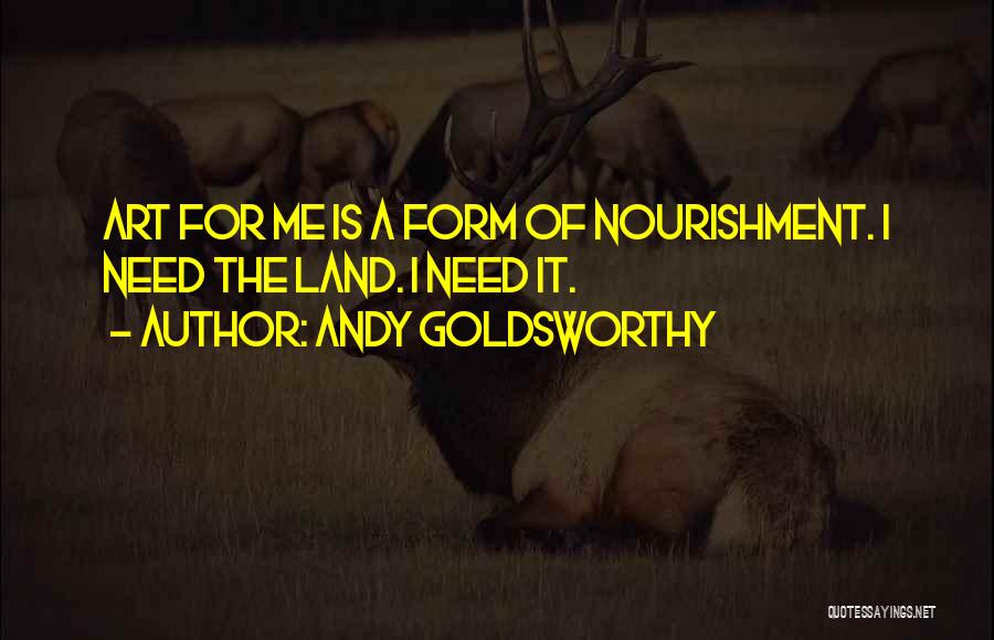 Andy Goldsworthy Quotes 1822116