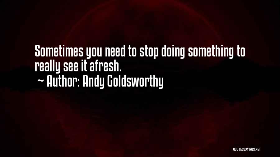 Andy Goldsworthy Quotes 2061277