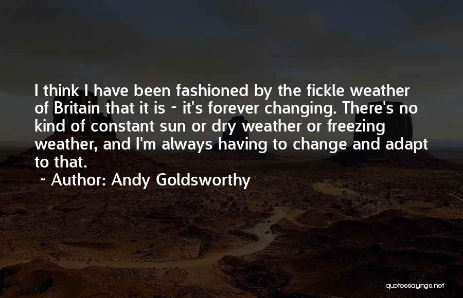 Andy Goldsworthy Quotes 2181429