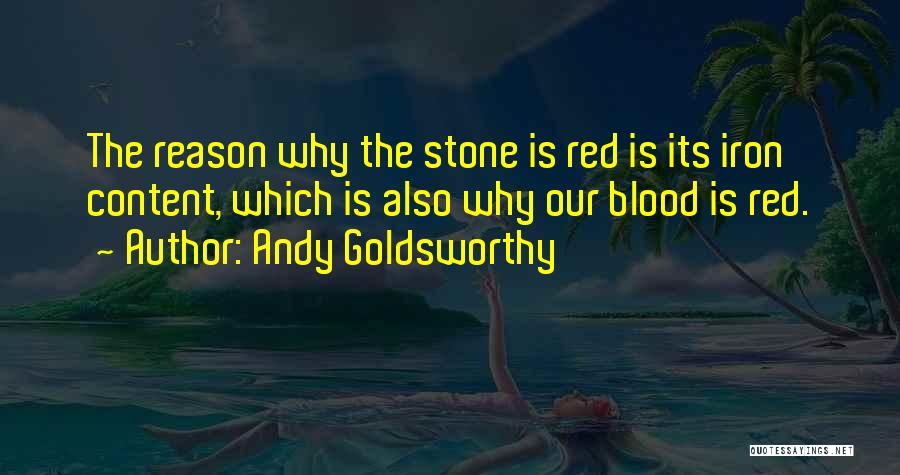 Andy Goldsworthy Quotes 2185788