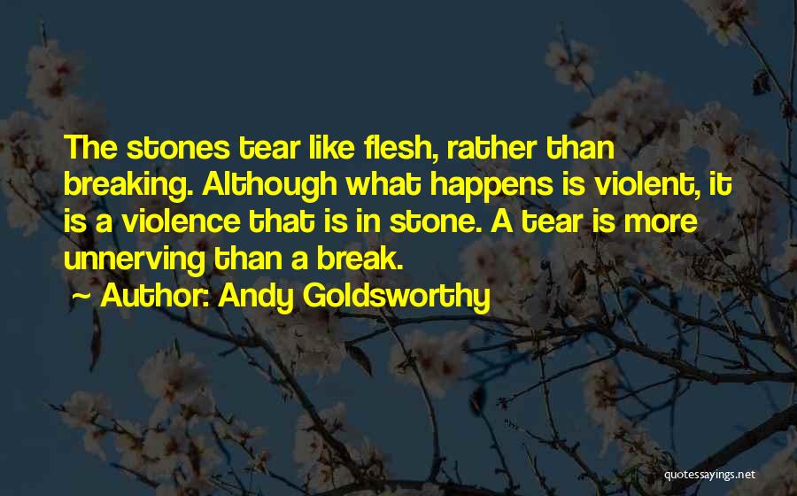 Andy Goldsworthy Quotes 2229200