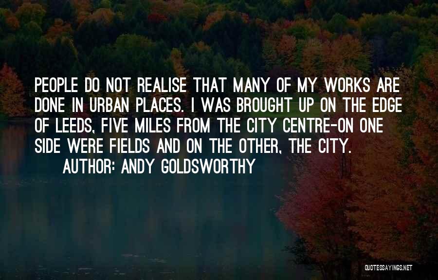 Andy Goldsworthy Quotes 270669