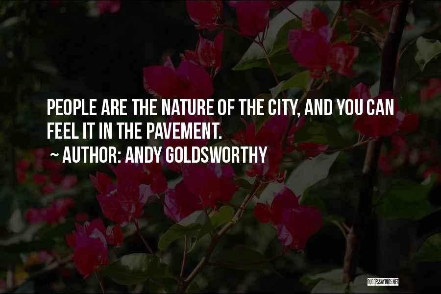 Andy Goldsworthy Quotes 293555