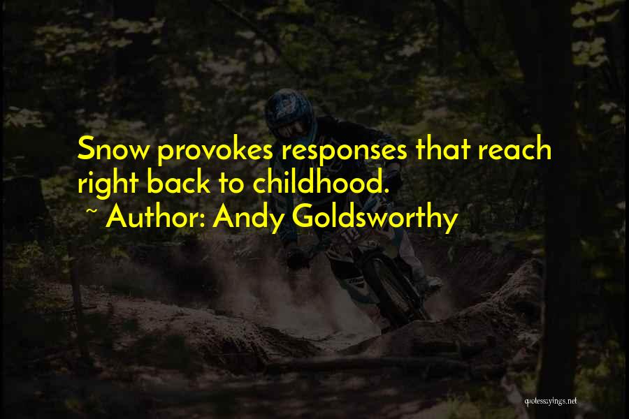 Andy Goldsworthy Quotes 310332