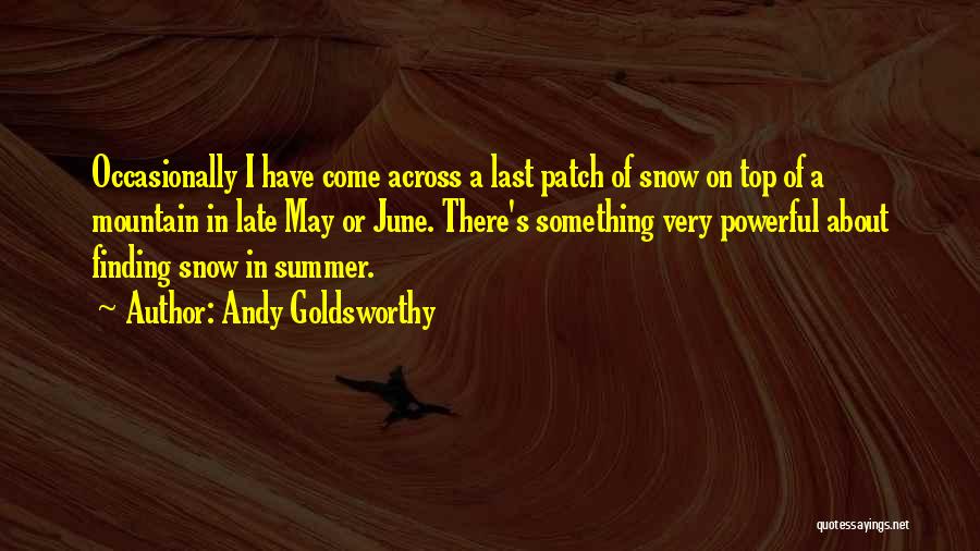 Andy Goldsworthy Quotes 340348