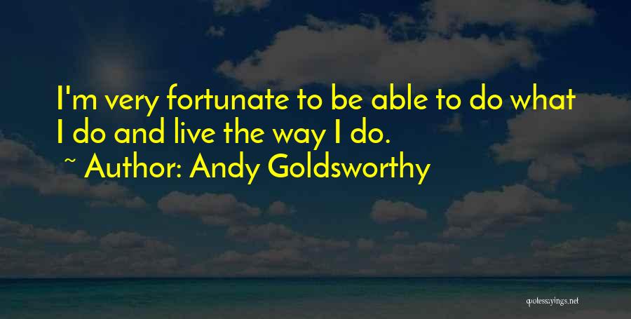 Andy Goldsworthy Quotes 403818