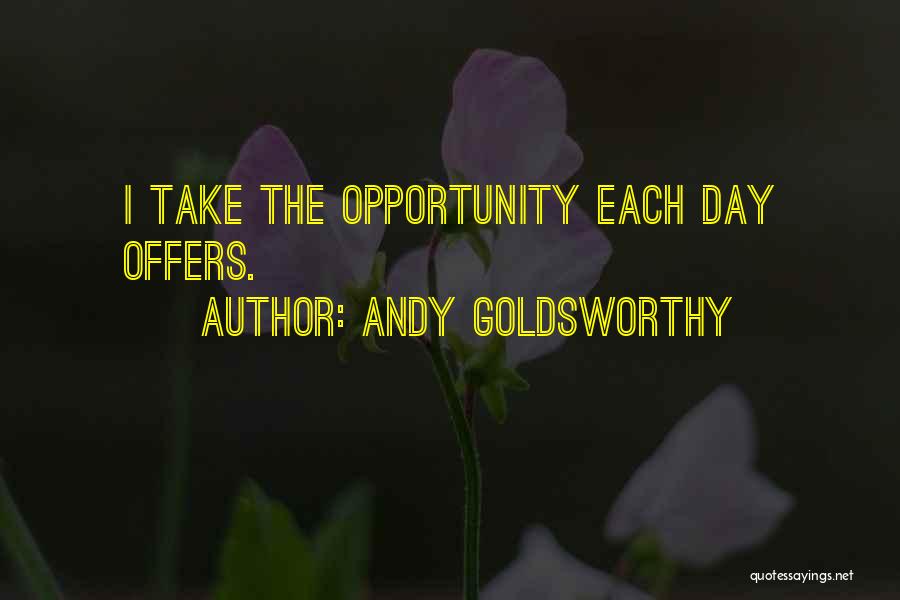 Andy Goldsworthy Quotes 404554