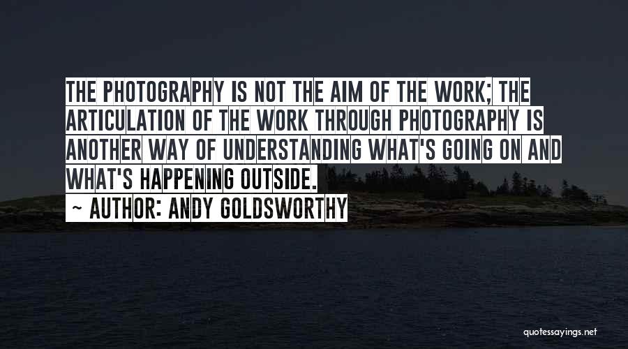 Andy Goldsworthy Quotes 452433