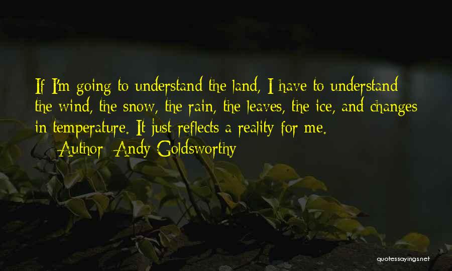 Andy Goldsworthy Quotes 496904