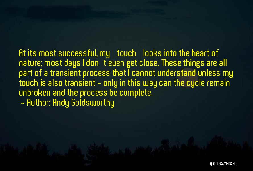 Andy Goldsworthy Quotes 727338