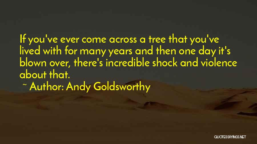 Andy Goldsworthy Quotes 774370