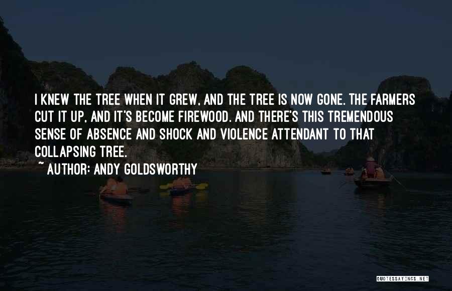 Andy Goldsworthy Quotes 953561
