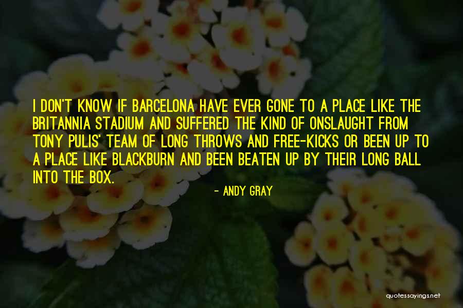 Andy Gray Quotes 282866