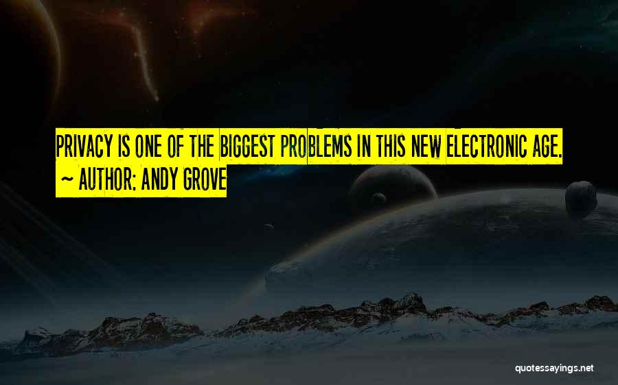 Andy Grove Quotes 1241388