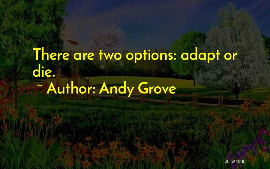 Andy Grove Quotes 891942