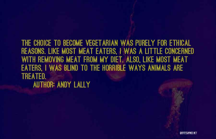 Andy Lally Quotes 1135629