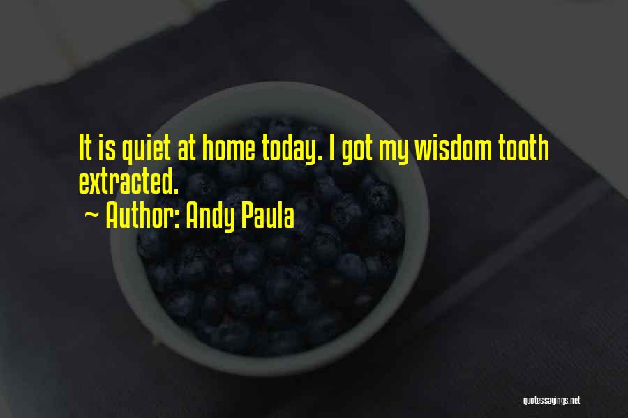Andy Quotes By Andy Paula