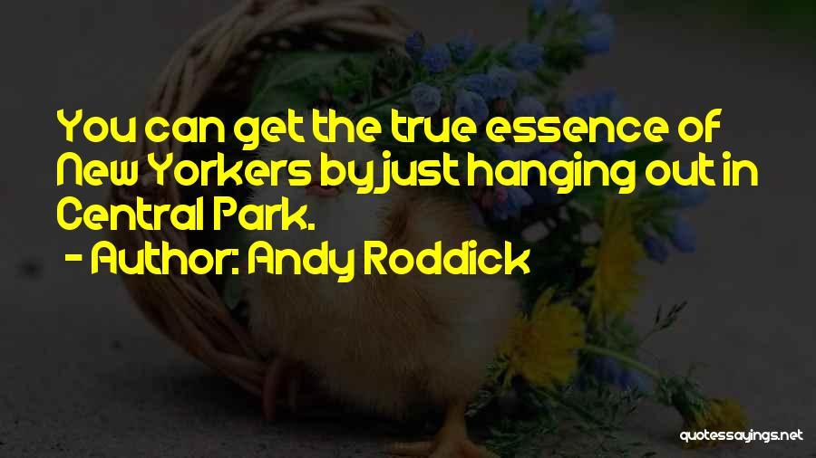 Andy Roddick Quotes 387260