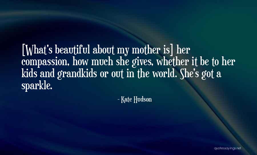 Andy Schleck Quotes By Kate Hudson Andy Schleck Quotes By Kate Hudson