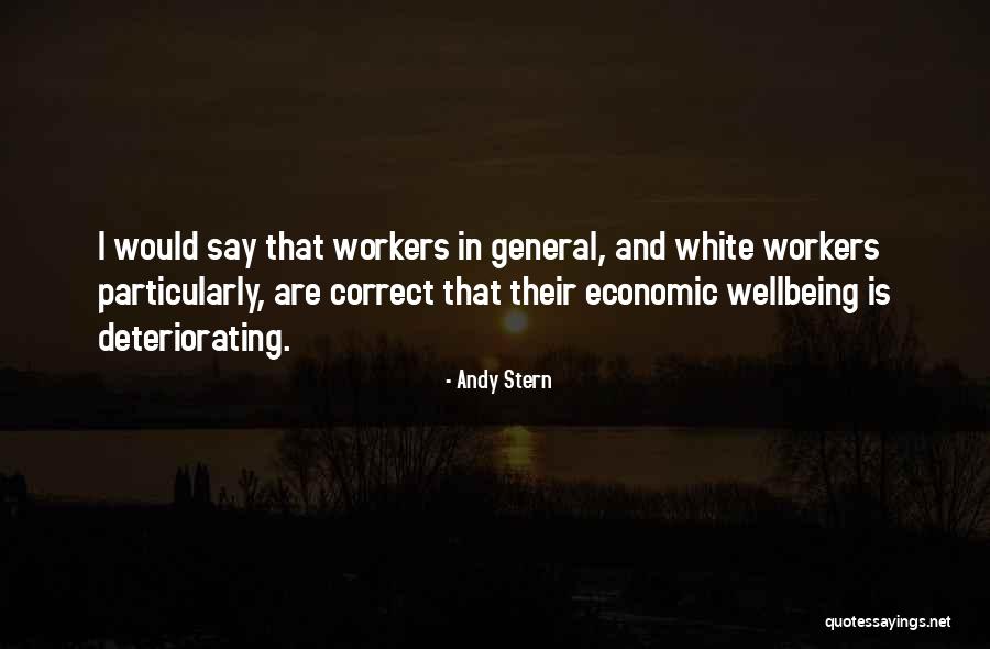 Andy Stern Quotes 531007