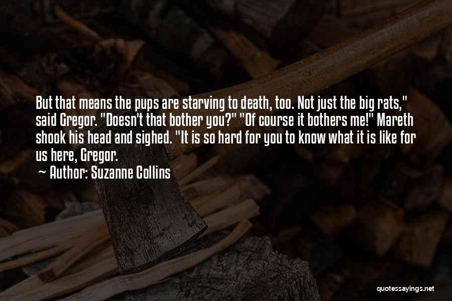 Andy Varipapa Quotes By Suzanne Collins