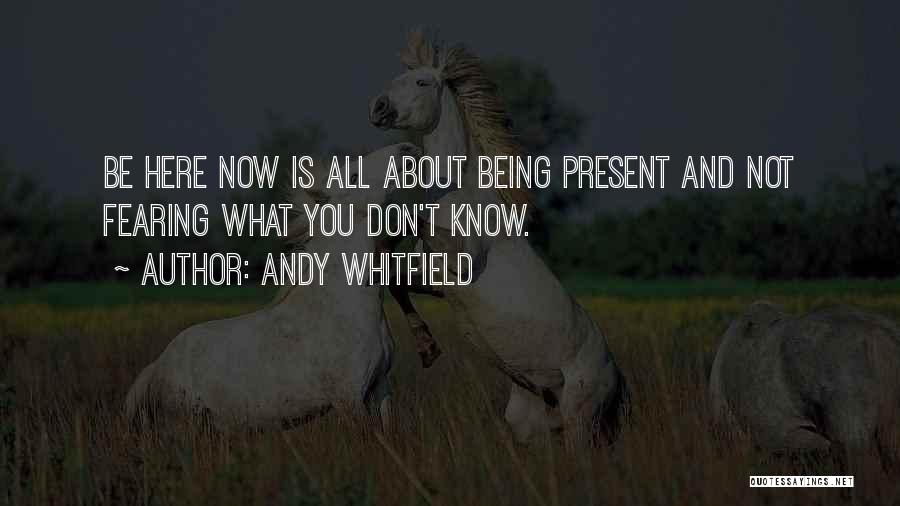 Andy Whitfield Quotes 1952381