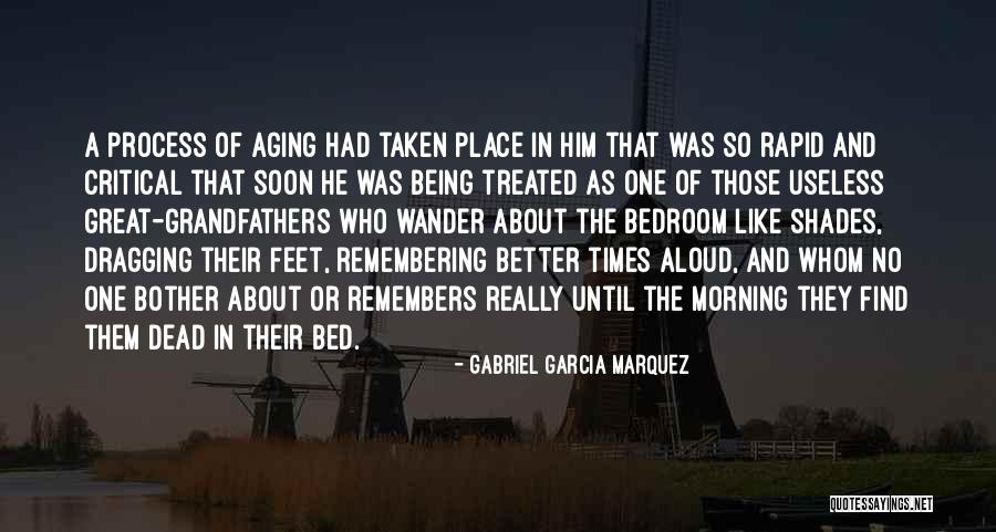 Andy Woody Quotes By Gabriel Garcia Marquez