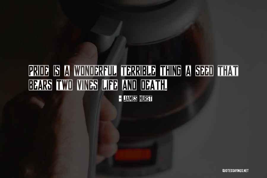 Andy Woody Quotes By James Hurst Andy Woody Quotes By James Hurst