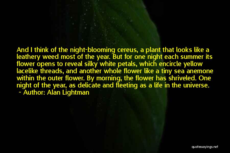 Anemone Flower Quotes By Alan Lightman