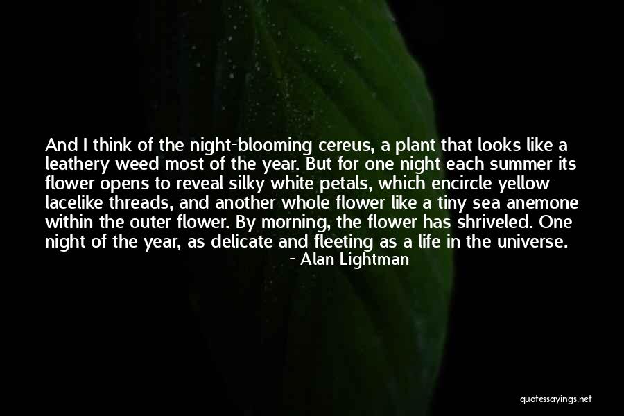 Anemone Quotes By Alan Lightman