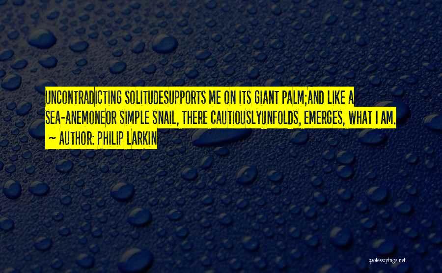 Anemone Quotes By Philip Larkin