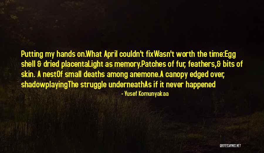 Anemone Quotes By Yusef Komunyakaa