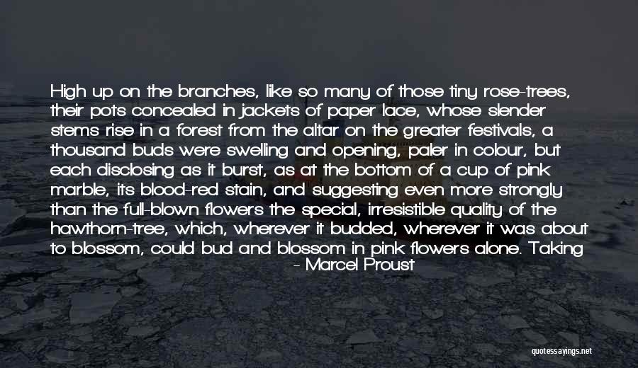 Anemoon Vissen Quotes By Marcel Proust Anemoon Vissen Quotes By Marcel Proust