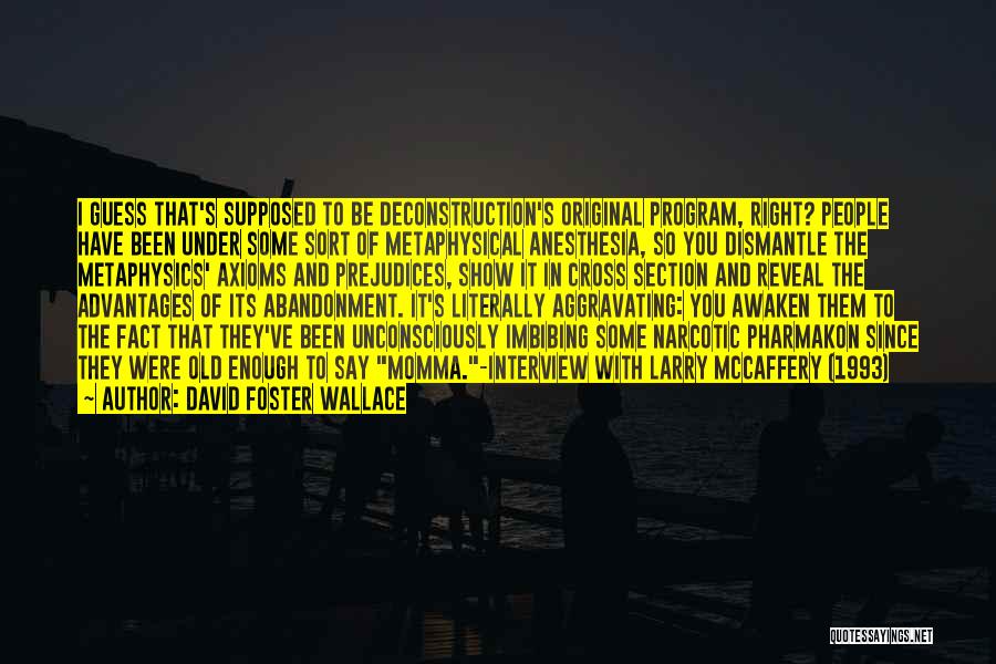 Anesthesia Quotes By David Foster Wallace