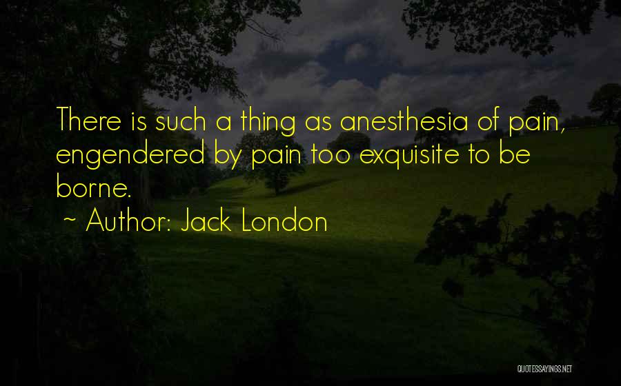 Anesthesia Quotes By Jack London