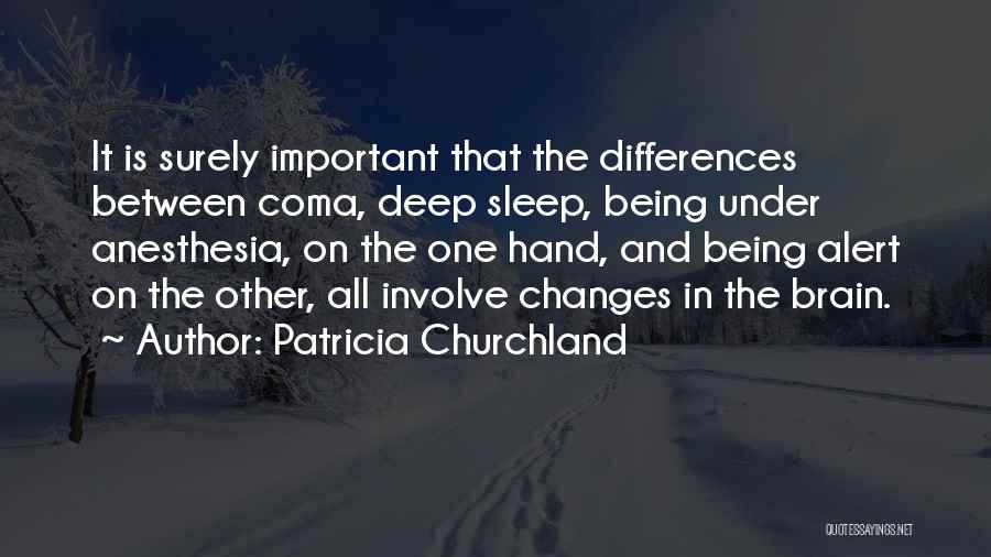 Anesthesia Quotes By Patricia Churchland