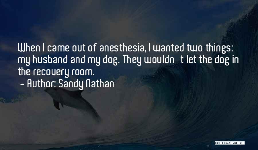 Anesthesia Quotes By Sandy Nathan